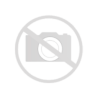 картинка Сварочный бензиновый агрегат MOSA TS 200 BS/CF компании Нова Механика